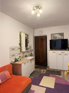 Apartament 1 camera Timișoara - poza 2