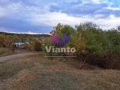 TEREN INTRAVILAN 1000MP- CISNADIOARA - Cisnadioara