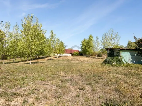 Casă 16 camere Diosig - poza 32