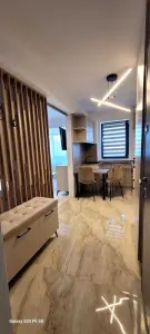 Apartament 1 camera Iași - poza 4