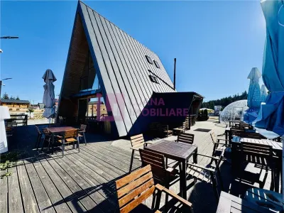 Business Horeca la cheie | restaurant cu terasa Paltinis | video - Paltinis