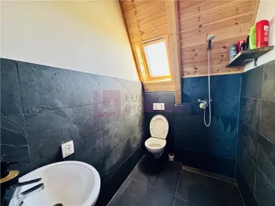 Spațiu comercial Paltinis - poza 11