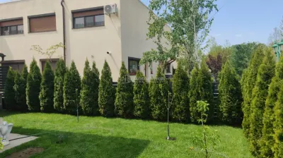 Casa moderna - Green City - 4 camere - 3 bai - 120mp - 100mp curte - 1 Decembrie