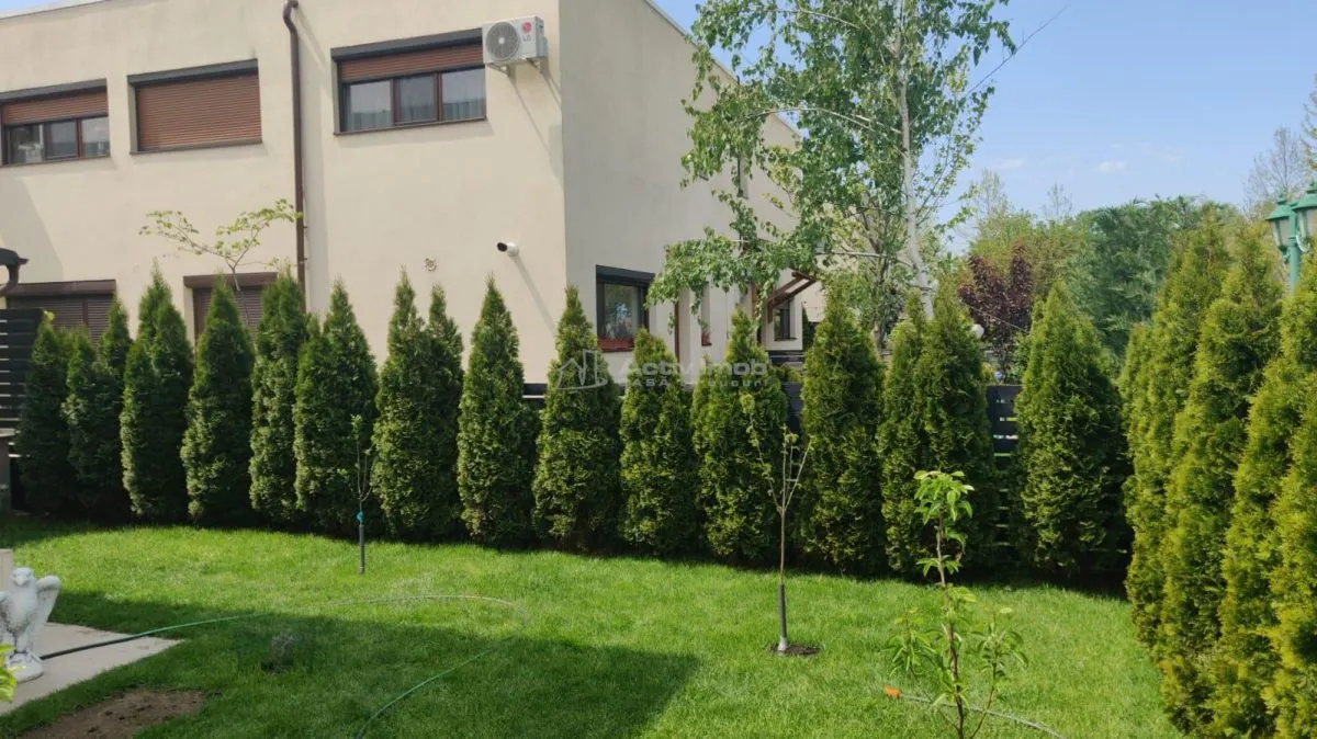 Casă 4 camere 1 Decembrie - poza 1