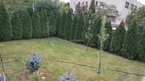 Casă 4 camere 1 Decembrie - poza 11
