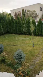 Casă 4 camere 1 Decembrie - poza 12