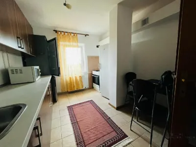Apartament 2 camere Timișoara - poza 9