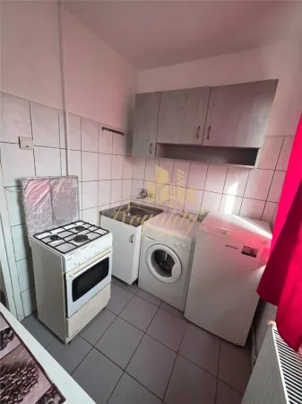 Apartament 1 camera Timișoara - poza 5