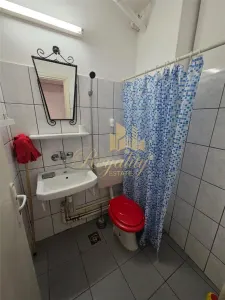 Apartament 1 camera Timișoara - poza 8