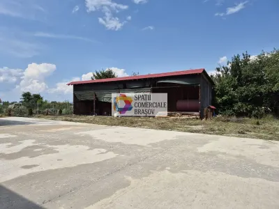 Spațiu industrial Bod - poza 2