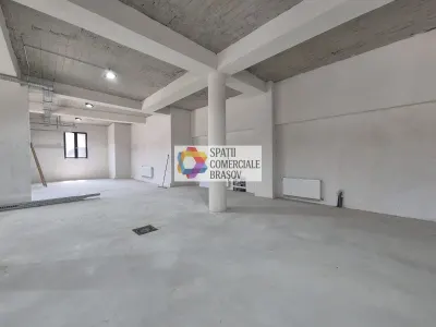 Spațiu industrial Bod - poza 11