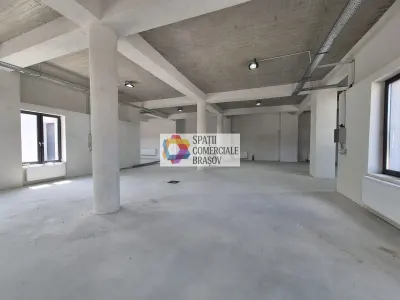 Spațiu industrial Bod - poza 13