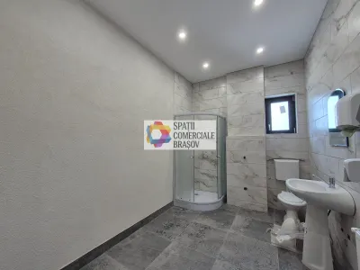 Spațiu industrial Bod - poza 17