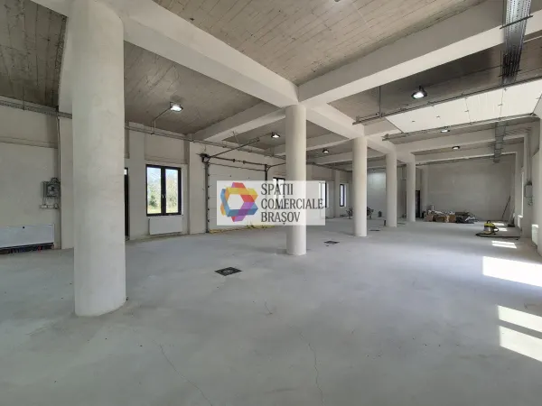 Spațiu industrial Bod - poza 8