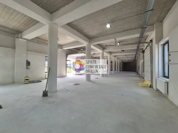Spațiu industrial Bod - poza 10