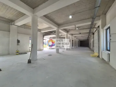 Spațiu industrial Bod - poza 10