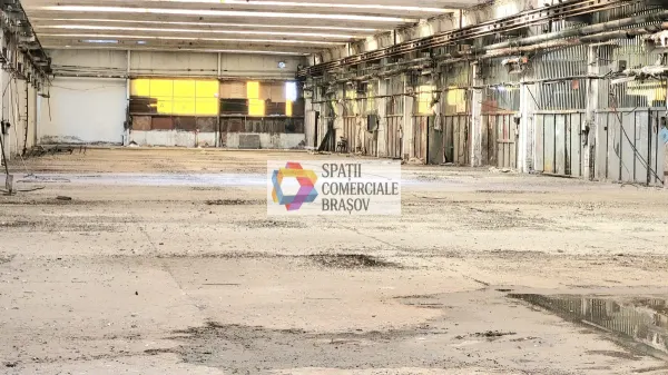 Spațiu industrial Ghimbav - poza 4