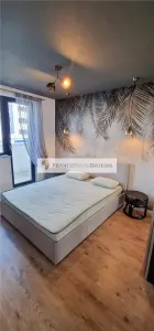 Apartament 2 camere București - poza 5