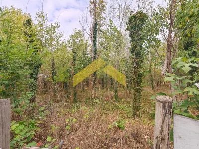 Casă 2 camere Nadlac - poza 7