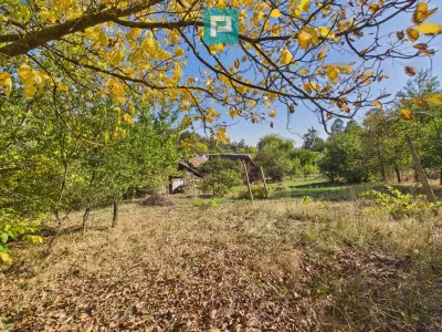 Casă 5 camere Radna - poza 21