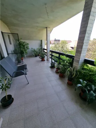 Casă 5 camere Buzescu - poza 15