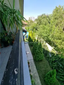 Casă 5 camere Buzescu - poza 18