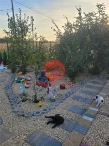 Casă 2 camere Năvodari - poza 57