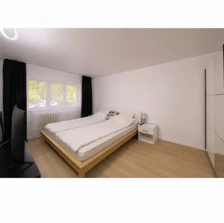Apartament 2 camere Timișoara - poza 3