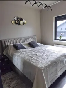 Casă 3 camere Sânmihaiu Român - poza 3