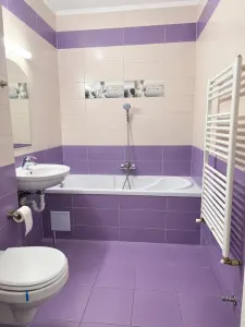 Apartament 1 camera Sibiu - poza 4