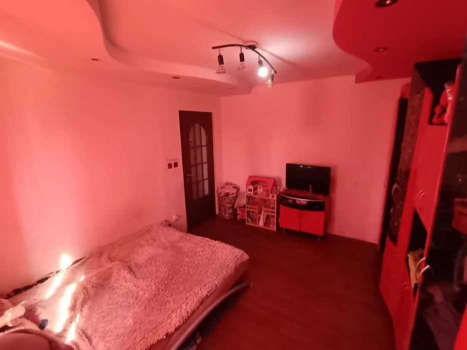 Apartament 1 camera Arad - poza 1