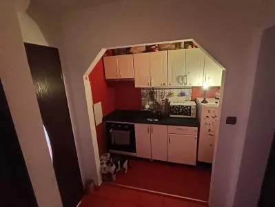 Apartament 1 camera Arad - poza 2