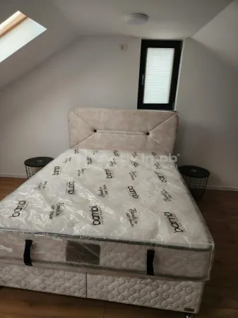 Casă 4 camere Tunari - poza 5