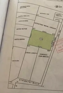 Voluntari stradal pe Matei Millo - Ilfov