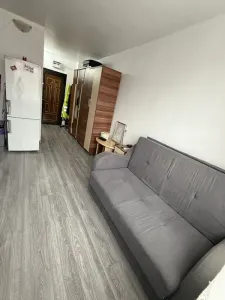 Apartament 1 camera Bacău - poza 4