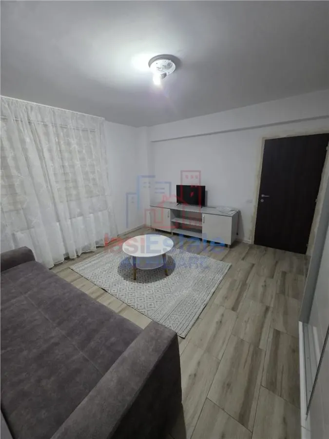 Apartament 1 camera Iași - poza 1