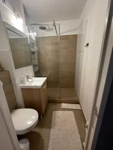 Persoana fizica , inchiriez garsoniera pe Louis Pasteur NR 61, ET 2 - Cluj-Napoca