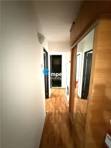Apartament 3 camere Alexandru cel Bun - poza 5