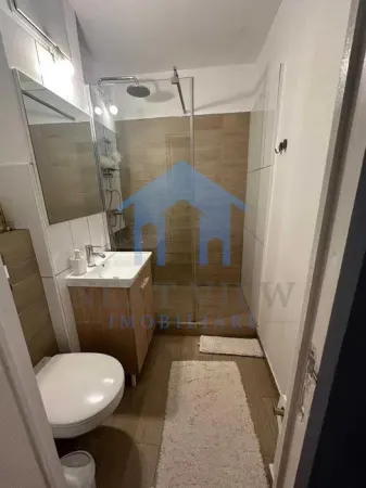 Apartament 1 camera Cluj-Napoca - poza 2