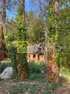 Casă 1 camera Luncani - poza 12