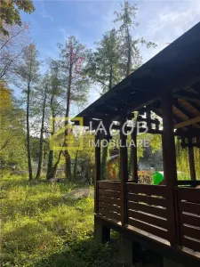 Casă 1 camera Luncani - poza 18