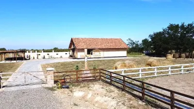 Investitie Premium | Centru de Echitatie si Evenimente | 12 km de Satu Mare - Satu Mare