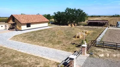 Spațiu comercial Satu Mare - poza 2