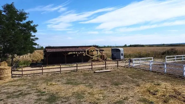 Spațiu comercial Satu Mare - poza 15