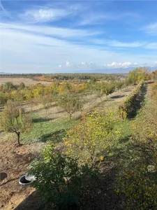 Casă 4 camere Finteusu Mic - poza 24