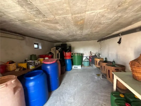 Casă 4 camere Finteusu Mic - poza 7