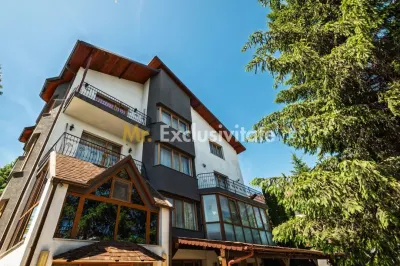 Spațiu comercial Pitești - poza 2