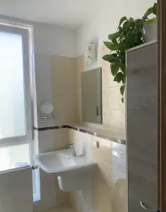 Apartament 3 camere Timișoara - poza 9