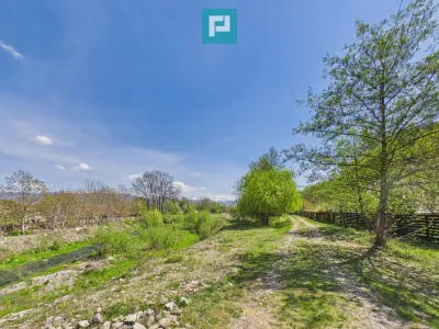 Casă 5 camere Campani - poza 18