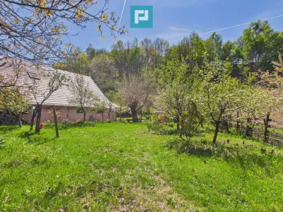 Casă 5 camere Campani - poza 19